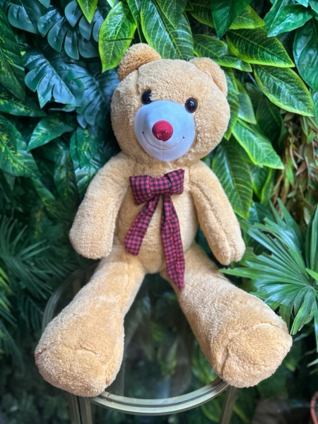 80 cm Oyuncak Ayı